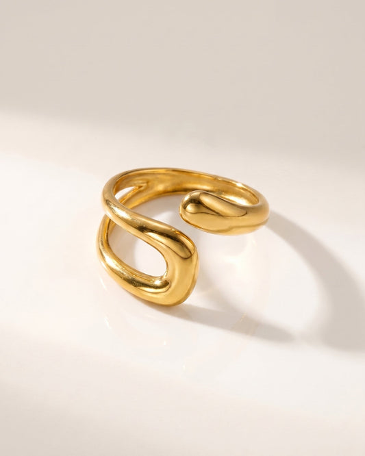 ANILLO DI DERIVA